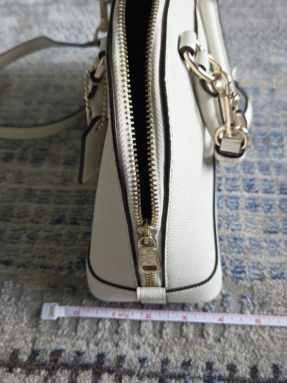 Coach stylish dome